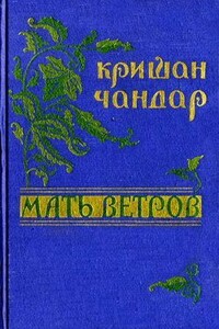 Иранский плов