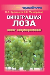 Виноградная лоза