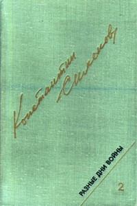 Разные дни войны. Дневник писателя, т.2. 1942-1945 годы