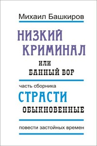 Низкий криминал, или Банный вор