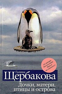 На храмовой горе