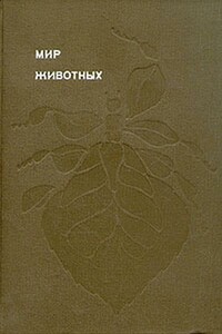 Мир животных. Насекомые