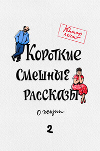 Короткие смешные рассказы о жизни 2