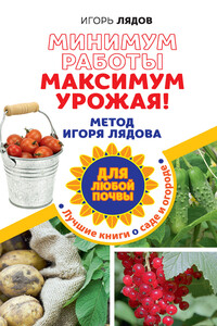 Минимум работы, максимум урожая!