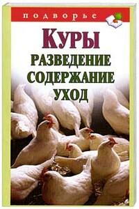 Куры: разведение, содержание, уход