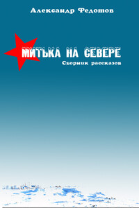 Митька на севере