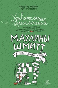 Удивительные приключения Маулины Шмитт. В ожидании чуда