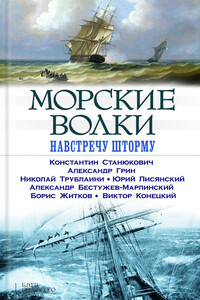 Морские волки. Навстречу шторму