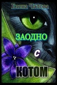 Заодно с котом