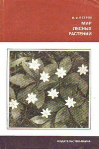 Мир лесных растений