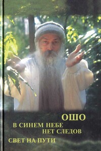 Свет на пути. В синем небе нет следов