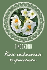 Как сажается каpтошка