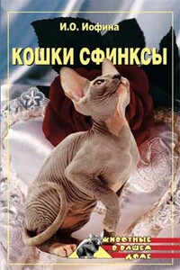 Кошки — сфинксы