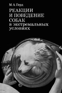 Реакции и поведение собак в экстремальных условиях