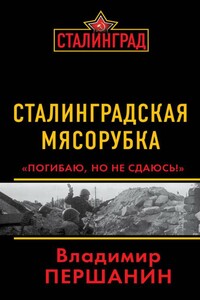 Сталинградская мясорубка. «Погибаю, но не сдаюсь!»