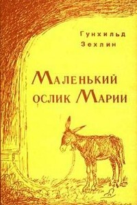 Маленький ослик Марии