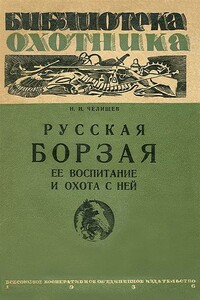 Русская борзая. Её воспитание и охота с ней