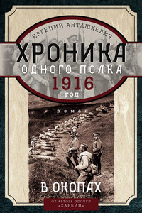 Хроника одного полка. 1916 год. В окопах