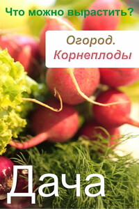 Огород. Корнеплоды. Что можно вырастить?