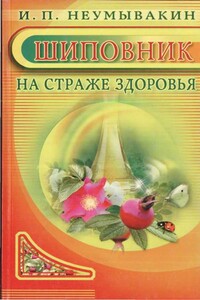 Шиповник. На страже здоровья