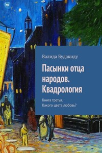 Книга 3. Какого цвета любовь?