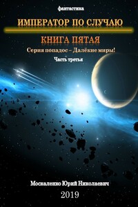 Император по случаю. Книга пятая. Часть третья