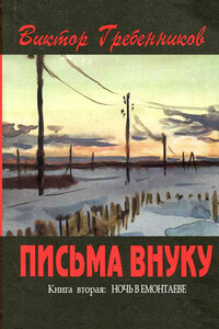 Письма внуку. Книга 2: Ночь в Емонтаеве