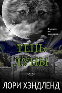 Тень луны