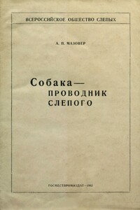 Собака-проводник слепого