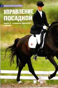 Управление посадкой. Часть 2 "Спинная пружина" лошади.