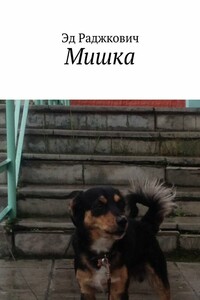 Мишка