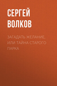 Загадать желание, или Тайна старого парка