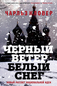 Черный ветер, белый снег. Новый рассвет национальной идеи