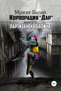 Партизанская война