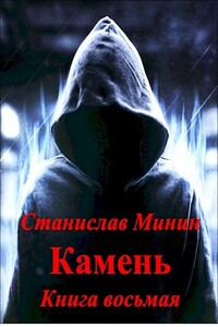 Камень. Книга 8