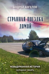 Странная поездка домой