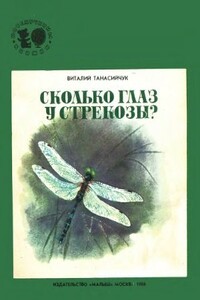 Сколько глаз у стрекозы?