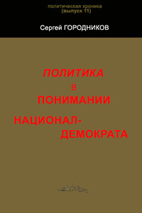 Политика в понимании национал-демократа