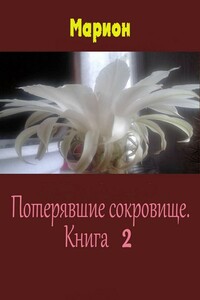 Потерявшие сокровище. Книга 2