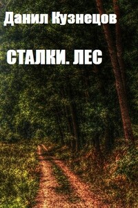 Сталки. Лес