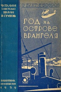 Год на острове Врангеля. Северная воздушная экспедиция