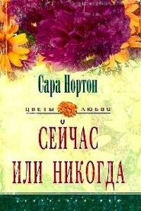 Сейчас или никогда