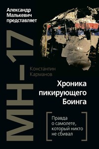 MH-17. Хроника пикирующего Боинга. Правда о самолете, который никто не сбивал