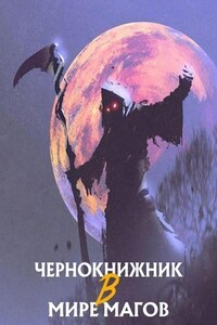 Чернокнижник в Мире Магов