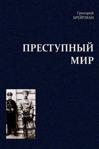 Преступный мир: Очерки из быта профессиональных преступников