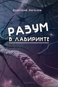 Разум в лабиринте