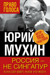 Россия — не Сингапур. Какой ВВП нам нужен