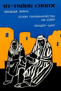 Свадьба Зейна. Сезон паломничества на Север. Бендер-шах