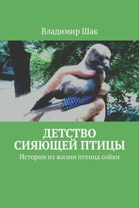 Детство сияющей птицы. Истории из жизни птенца сойки