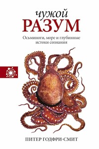 Чужой разум. Осьминоги, море и глубинные истоки сознания